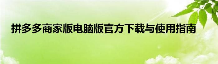 拼多多商家版电脑版官方下载与使用指南