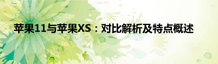 苹果11与苹果XS：对比解析及特点概述