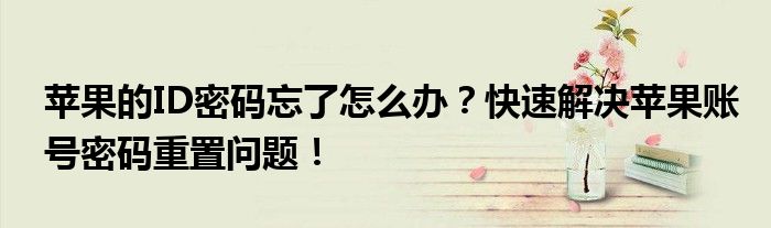 苹果的ID密码忘了怎么办？快速解决苹果账号密码重置问题！