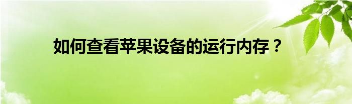 如何查看苹果设备的运行内存？