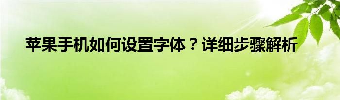 苹果手机如何设置字体？详细步骤解析