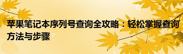 苹果笔记本序列号查询全攻略：轻松掌握查询方法与步骤