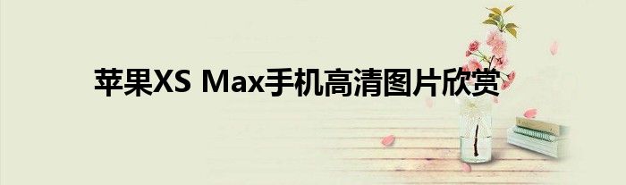 苹果XS Max手机高清图片欣赏