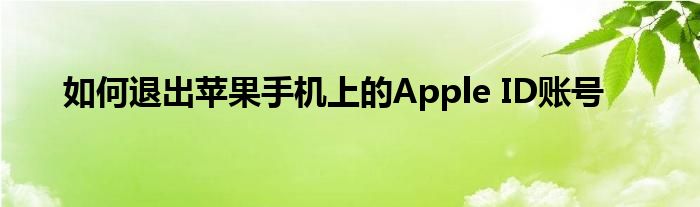 如何退出苹果手机上的Apple ID账号