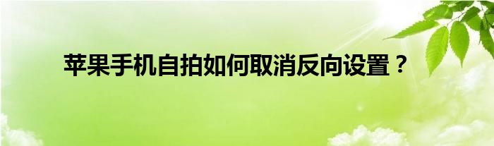 苹果手机自拍如何取消反向设置？