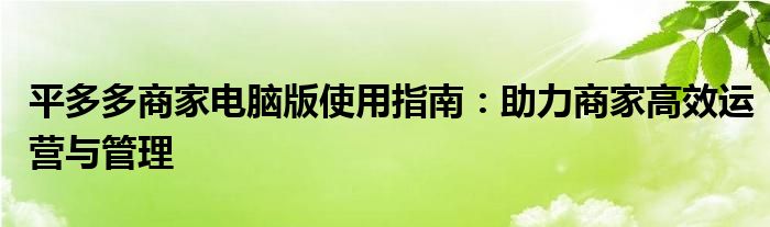 平多多商家电脑版使用指南：助力商家高效运营与管理