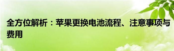 全方位解析：苹果更换电池流程、注意事项与费用