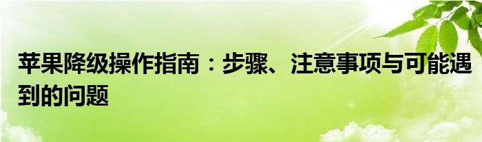 苹果降级操作指南：步骤、注意事项与可能遇到的问题