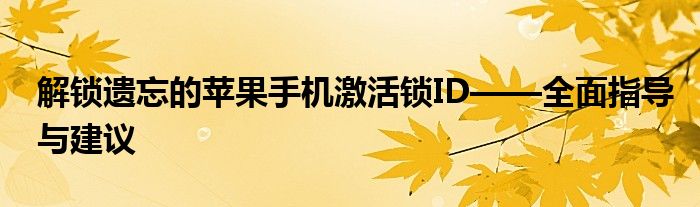 解锁遗忘的苹果手机激活锁ID——全面指导与建议