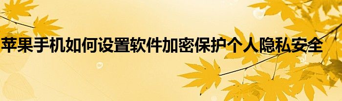 苹果手机如何设置软件加密保护个人隐私安全