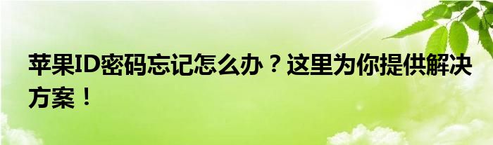 苹果ID密码忘记怎么办？这里为你提供解决方案！