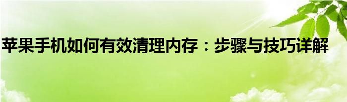 苹果手机如何有效清理内存：步骤与技巧详解