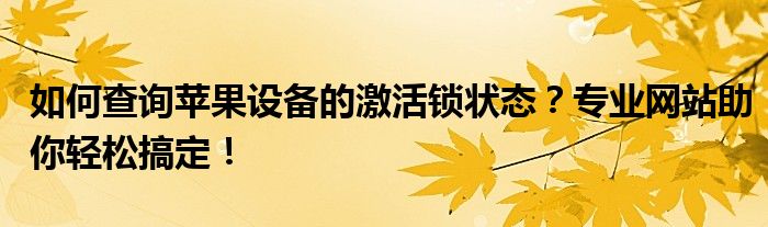 如何查询苹果设备的激活锁状态？专业网站助你轻松搞定！