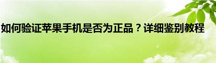 如何验证苹果手机是否为正品？详细鉴别教程