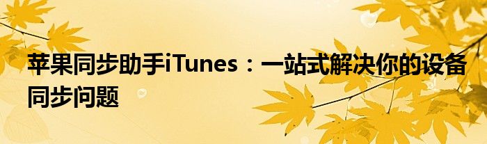 苹果同步助手iTunes：一站式解决你的设备同步问题