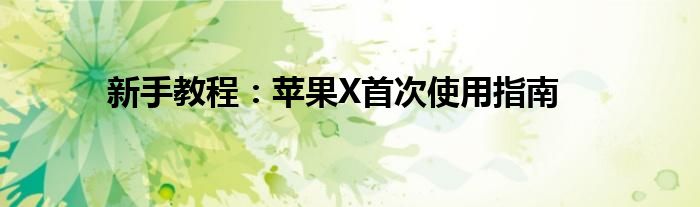 新手教程：苹果X首次使用指南