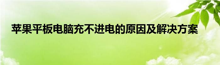 苹果平板电脑充不进电的原因及解决方案