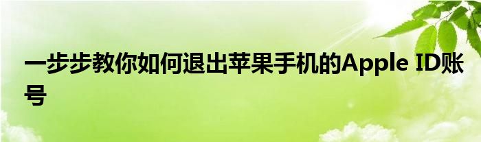 一步步教你如何退出苹果手机的Apple ID账号