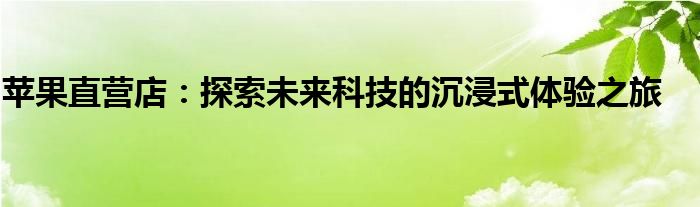 苹果直营店：探索未来科技的沉浸式体验之旅