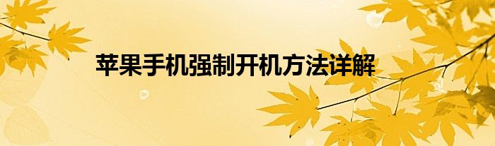 苹果手机强制开机方法详解