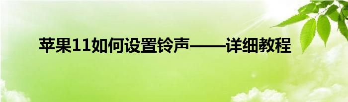 苹果11如何设置铃声——详细教程