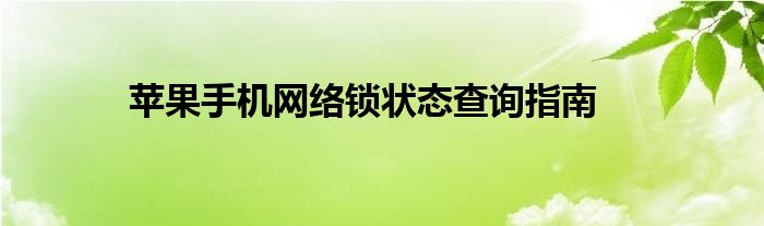 苹果手机网络锁状态查询指南