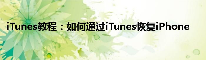 iTunes教程：如何通过iTunes恢复iPhone