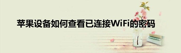 苹果设备如何查看已连接WiFi的密码