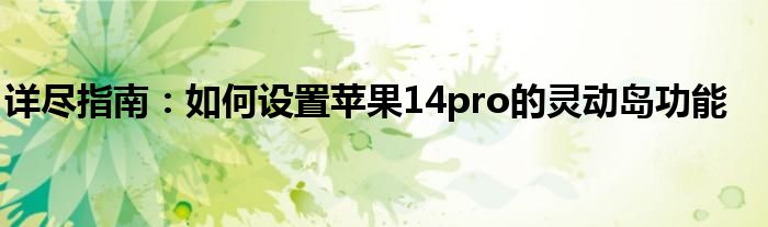 详尽指南：如何设置苹果14pro的灵动岛功能