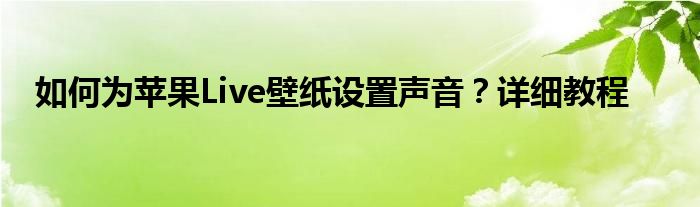 如何为苹果Live壁纸设置声音？详细教程