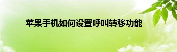 苹果手机如何设置呼叫转移功能