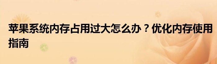 苹果系统内存占用过大怎么办？优化内存使用指南