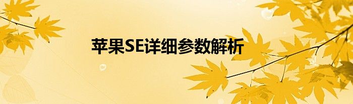 苹果SE详细参数解析