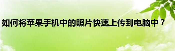 如何将苹果手机中的照片快速上传到电脑中？