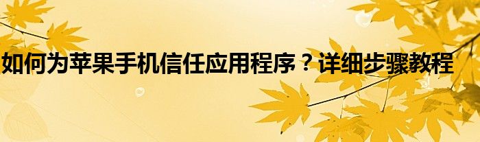 如何为苹果手机信任应用程序？详细步骤教程