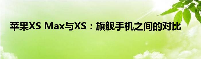 苹果XS Max与XS：旗舰手机之间的对比