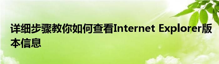 详细步骤教你如何查看Internet Explorer版本信息