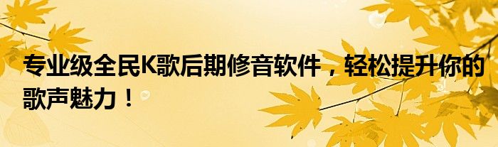 专业级全民K歌后期修音软件，轻松提升你的歌声魅力！