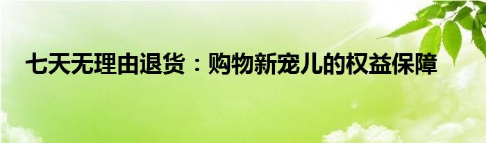 七天无理由退货：购物新宠儿的权益保障