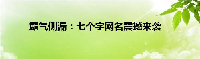 霸气侧漏：七个字网名震撼来袭