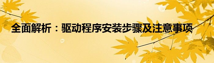 全面解析：驱动程序安装步骤及注意事项