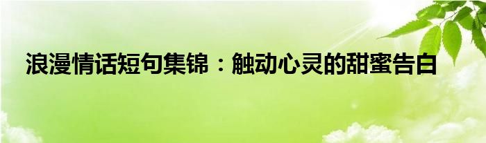 浪漫情话短句集锦：触动心灵的甜蜜告白