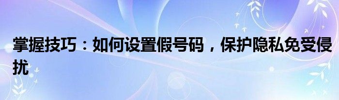 掌握技巧：如何设置假号码，保护隐私免受侵扰