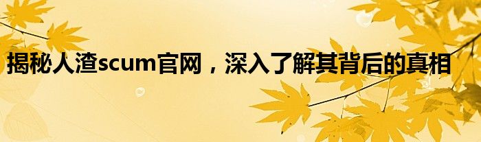 揭秘人渣scum官网，深入了解其背后的真相