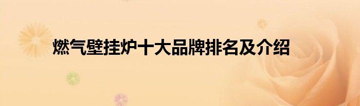 燃气壁挂炉十大品牌排名及介绍