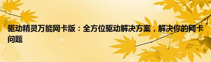 驱动精灵万能网卡版：全方位驱动解决方案，解决你的网卡问题