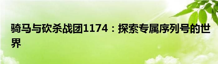 骑马与砍杀战团1174：探索专属序列号的世界