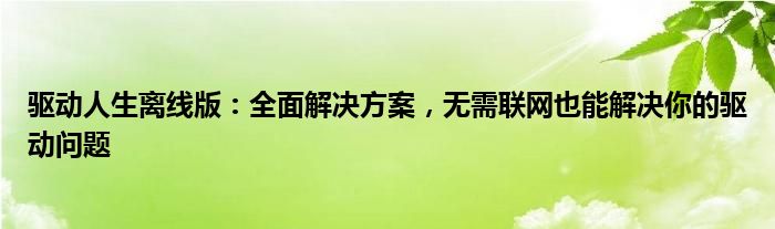 驱动人生离线版：全面解决方案，无需联网也能解决你的驱动问题