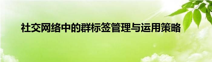 社交网络中的群标签管理与运用策略