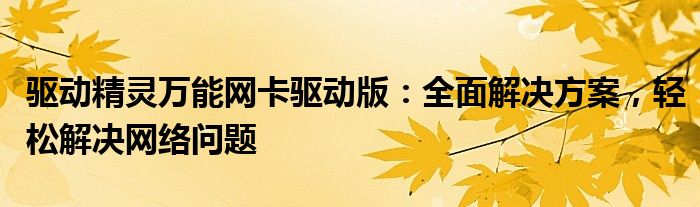 驱动精灵万能网卡驱动版：全面解决方案，轻松解决网络问题